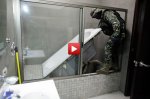 (Video) Un bagno molto particolare con tanto di passaggio segreto